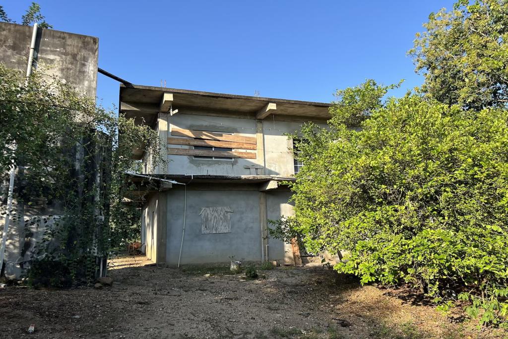 listing image with ID 85509