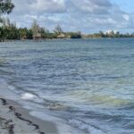listing image thumbnail with ID 101223