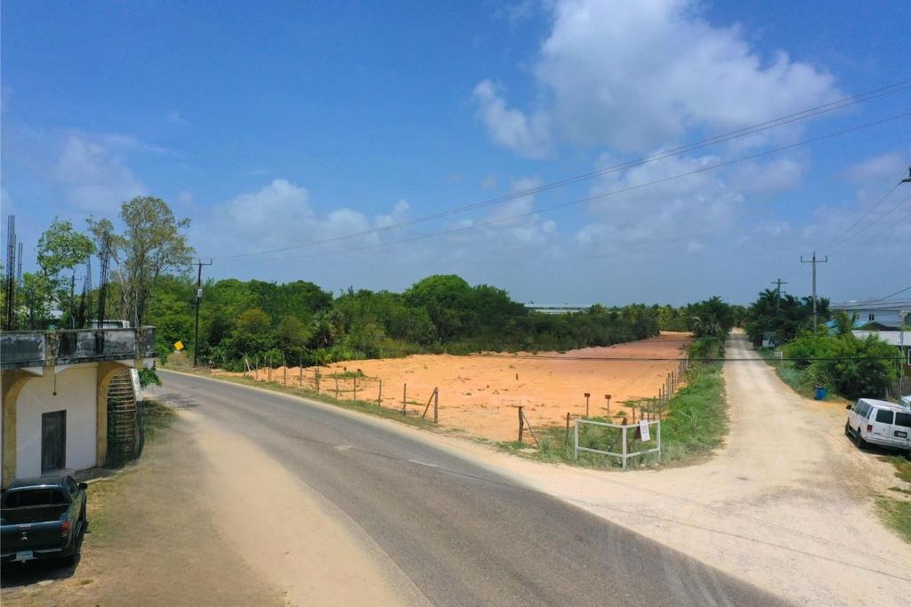 listing image with ID 97393