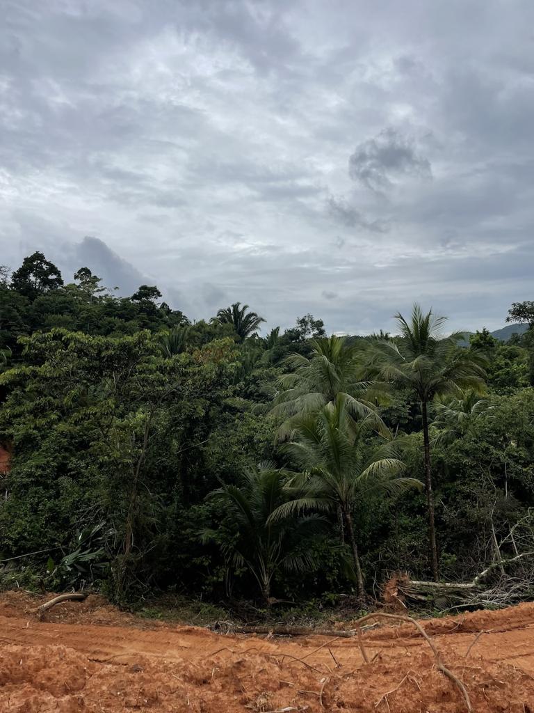 listing image with ID 81801