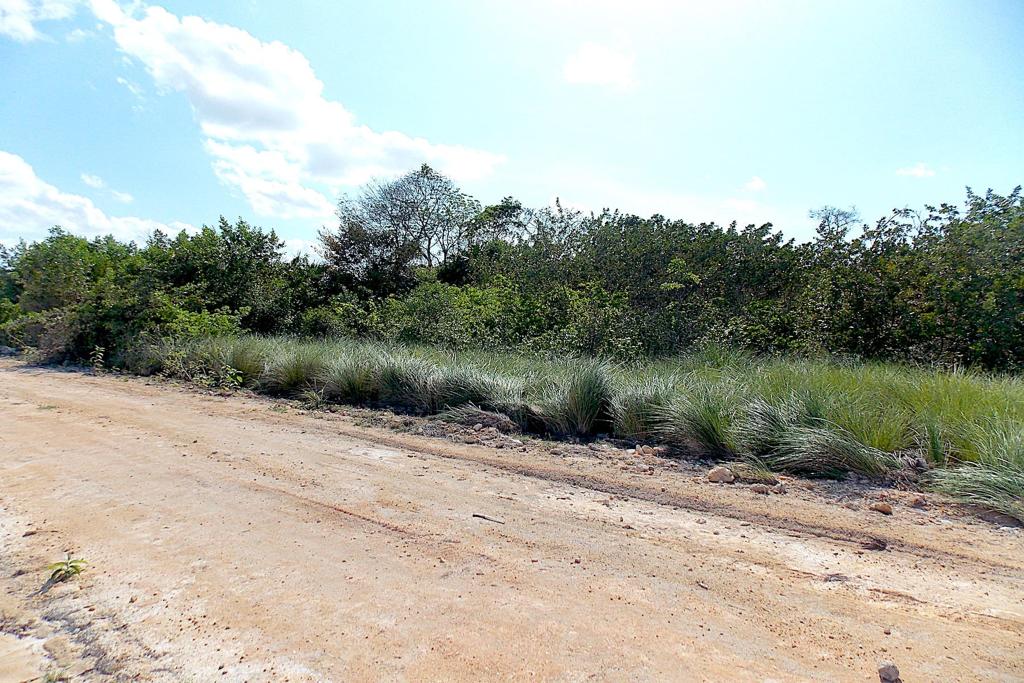 listing image with ID 97749