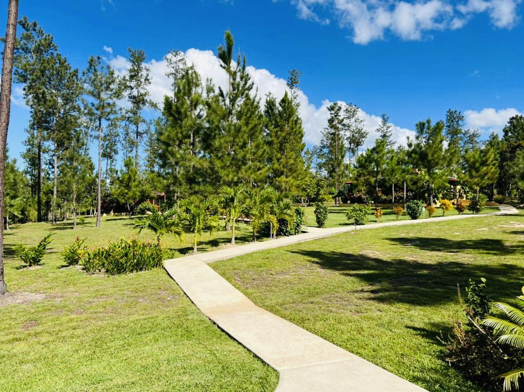 listing image with ID 107847
