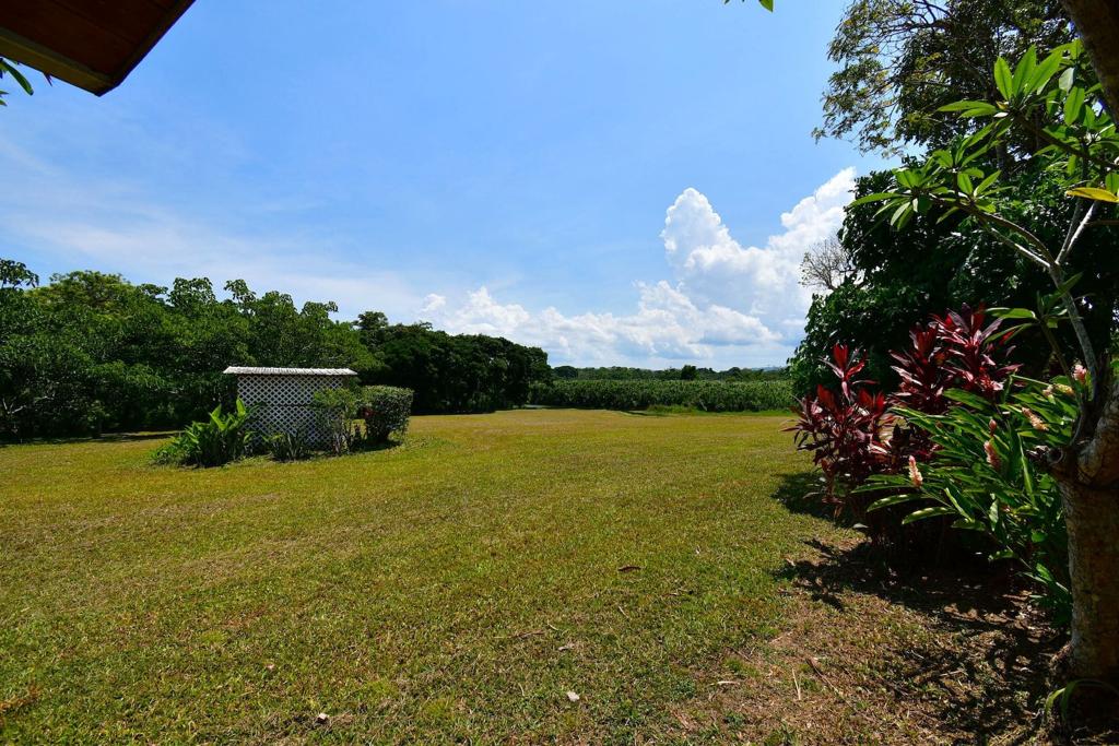 listing image with ID 89887