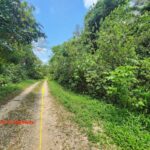 listing image thumbnail with ID 87138