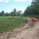 listing image thumbnail with ID 83475