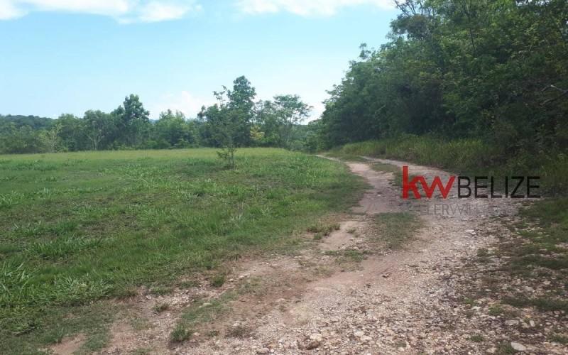 listing image with ID 83475