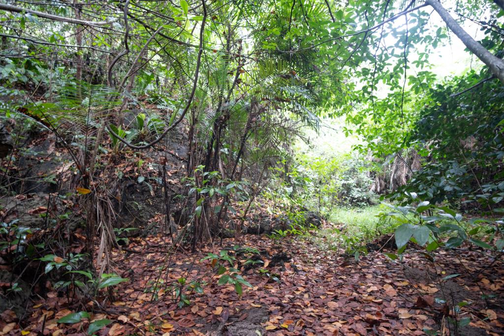 listing image with ID 99449
