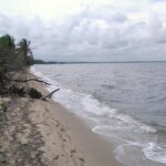 listing image thumbnail with ID 84957