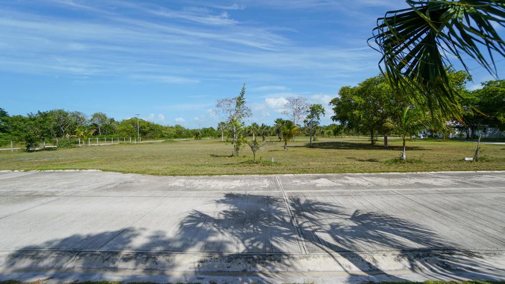 listing image with ID 85550