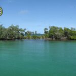listing image thumbnail with ID 82447