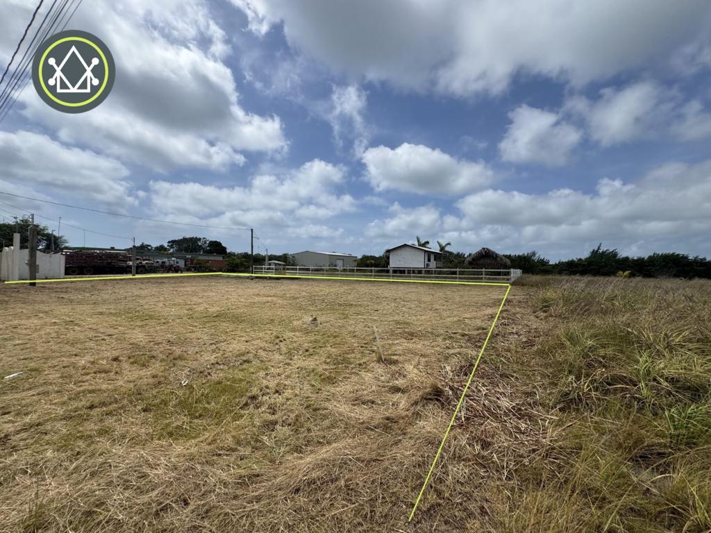 listing image with ID 81347