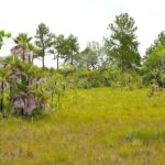 listing image thumbnail with ID 82667