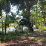 listing image thumbnail with ID 93997
