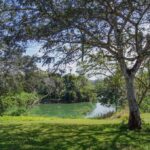 listing image thumbnail with ID 95467