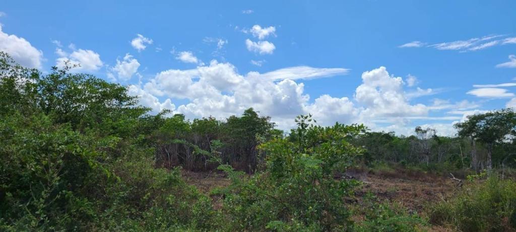 listing image with ID 97926
