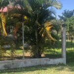 listing image thumbnail with ID 99161