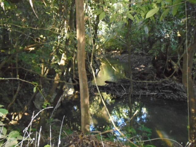 listing image with ID 77029