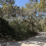 listing image thumbnail with ID 94267