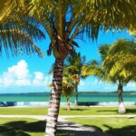 listing image thumbnail with ID 94134