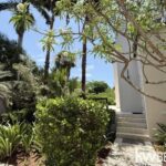 listing image thumbnail with ID 108835