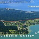 listing image thumbnail with ID 104120
