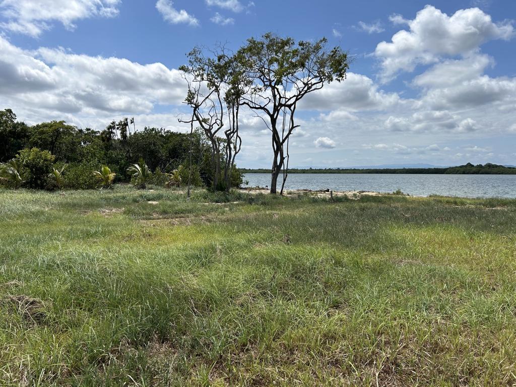 listing image with ID 94417