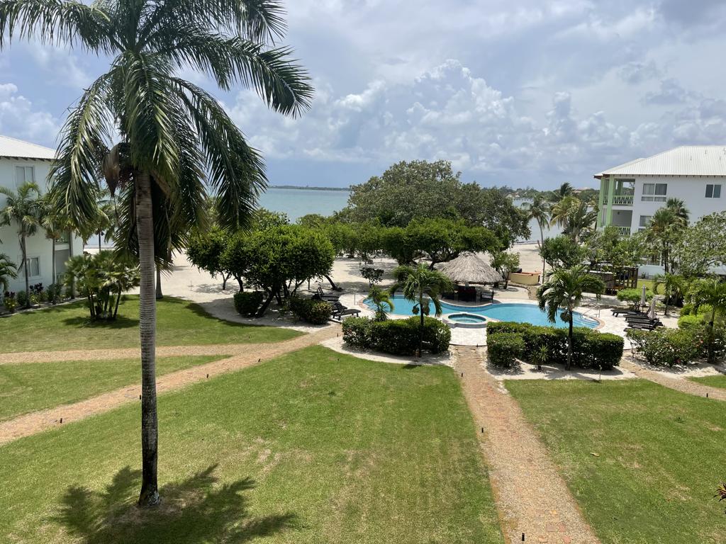 listing image with ID 96774
