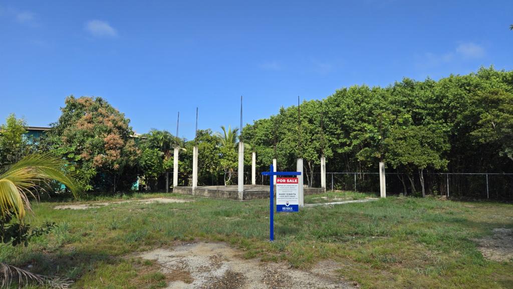 listing image with ID 100000