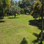 listing image thumbnail with ID 81861