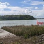 listing image thumbnail with ID 88361