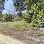 listing image thumbnail with ID 85527
