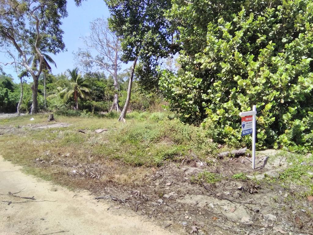 listing image with ID 85527