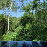 listing image thumbnail with ID 96138