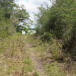 listing image thumbnail with ID 96624
