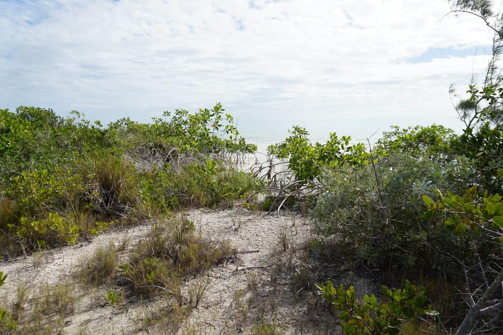 listing image with ID 101186