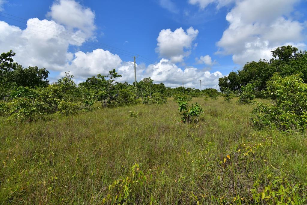listing image with ID 95110