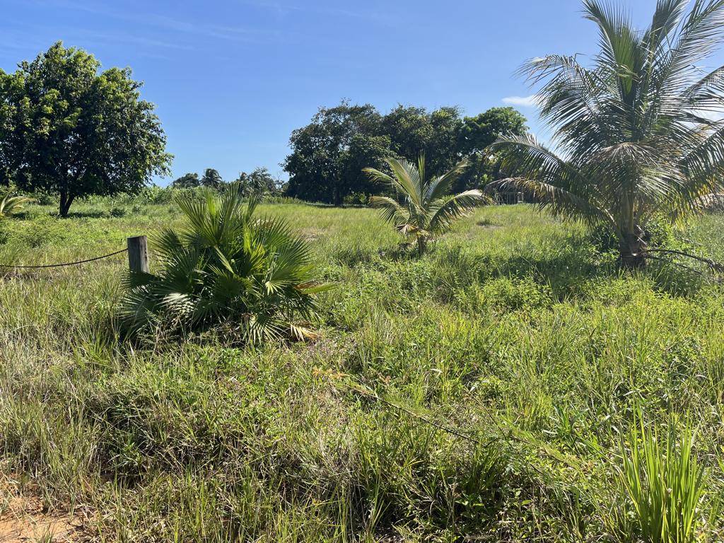 listing image with ID 100606