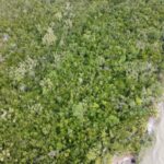 listing image thumbnail with ID 84084
