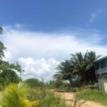 listing image thumbnail with ID 100278