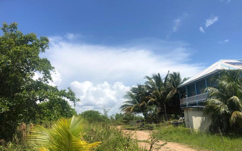 listing image with ID 100278