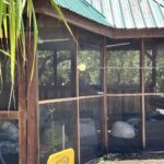 listing image thumbnail with ID 79522