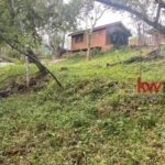 listing image thumbnail with ID 104274