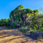 listing image thumbnail with ID 105415