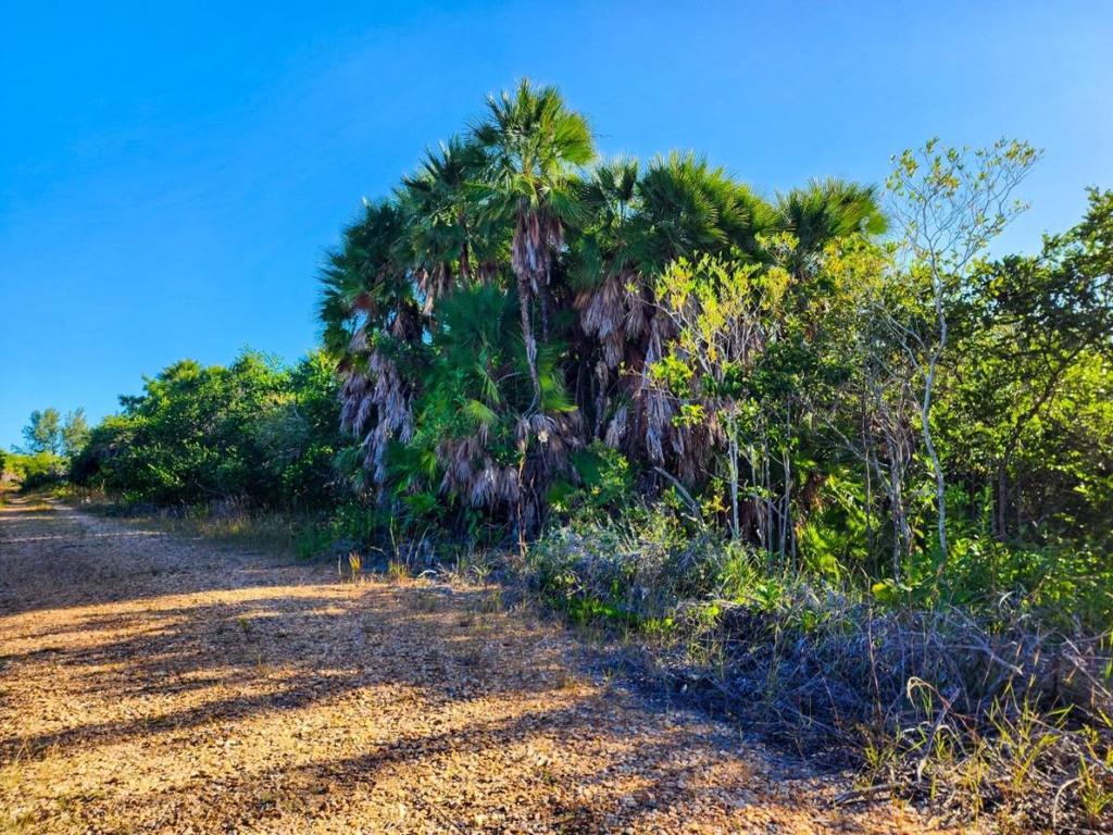 listing image with ID 105415