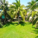 listing image thumbnail with ID 99588