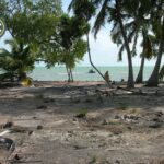 listing image thumbnail with ID 87729