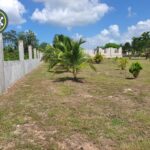 listing image thumbnail with ID 81135