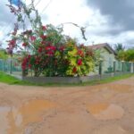 listing image thumbnail with ID 107516