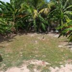 listing image thumbnail with ID 81637
