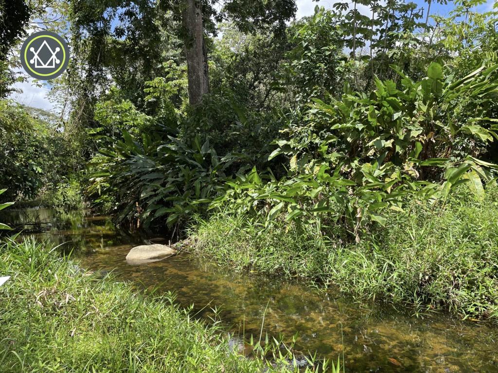 listing image with ID 105225